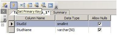 PRIMARY KEY CONSTRAINT